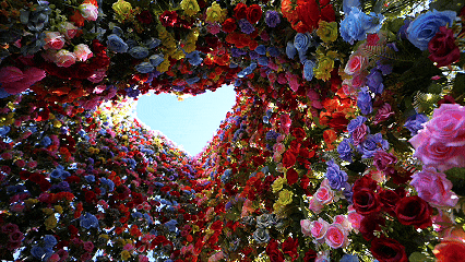 藏在石家庄的“莫奈花园”——花海、秋千、网红打卡点全都有！