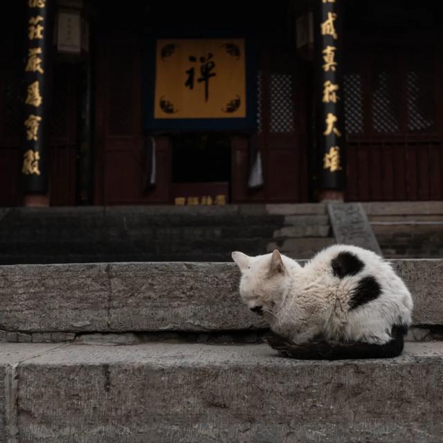 护国兴教寺，拜谒玄奘大师埋骨地