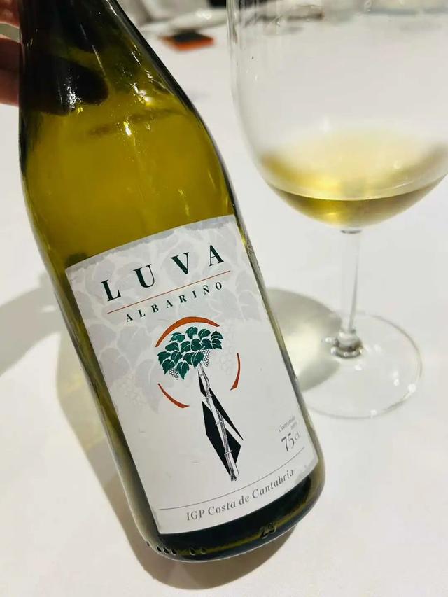 欧洲精英的西班牙浪人计划：圣地亚哥之路