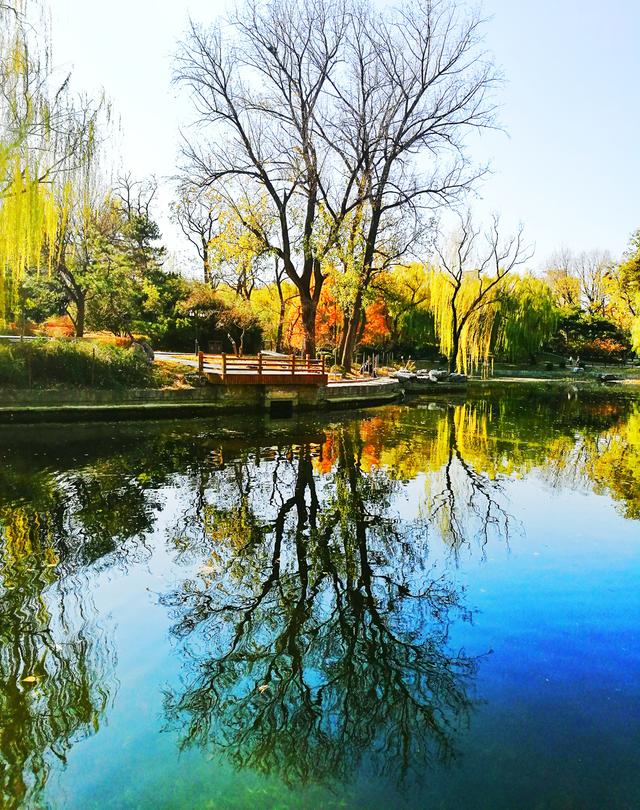 狂风散尽现碧空 北京市民陶然亭公园共赴“大风蓝”之约