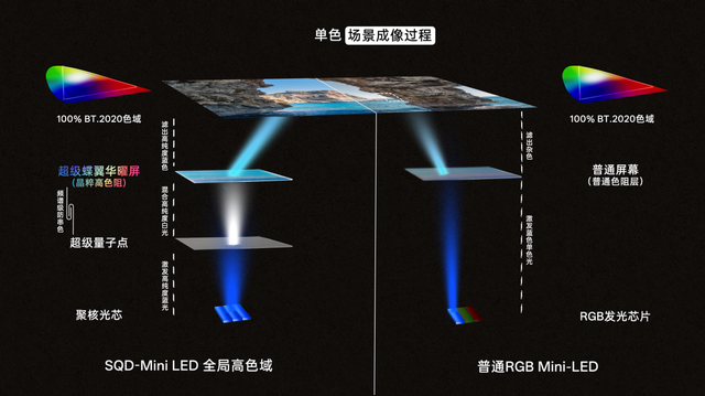 TCL SQD Mini LED破局：全局高色域突破让画质终于「光色巅峰」了！