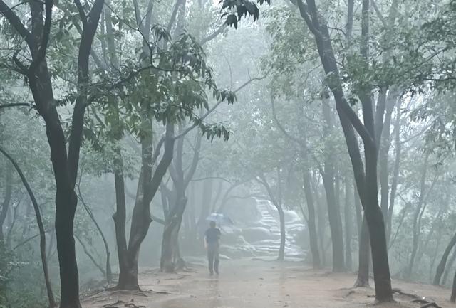 晨上灵岩山