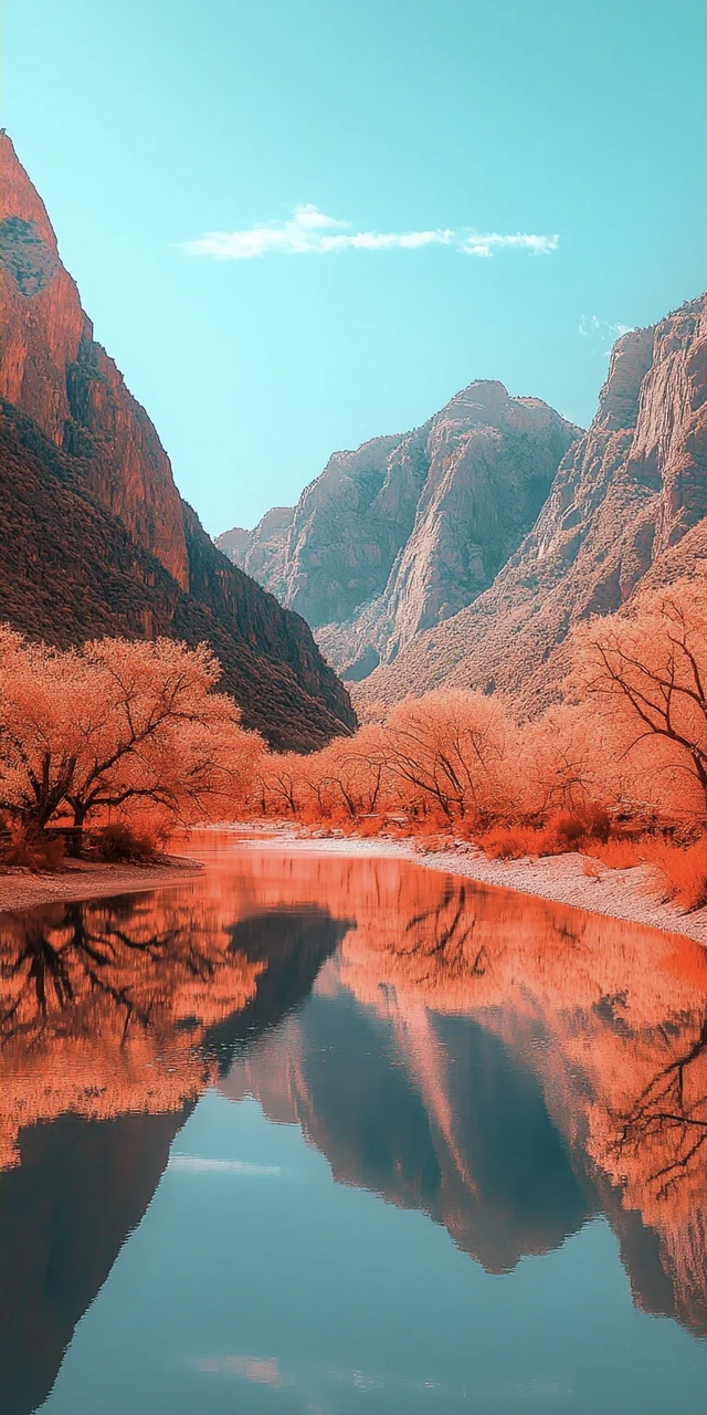 山水画卷，月下美景如诗