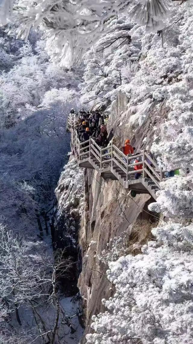 跟着《水龙吟》游天都峰，秋冬打卡自带 “滤镜” | 皖美冬日 | 第十五届安徽国际文化旅游节