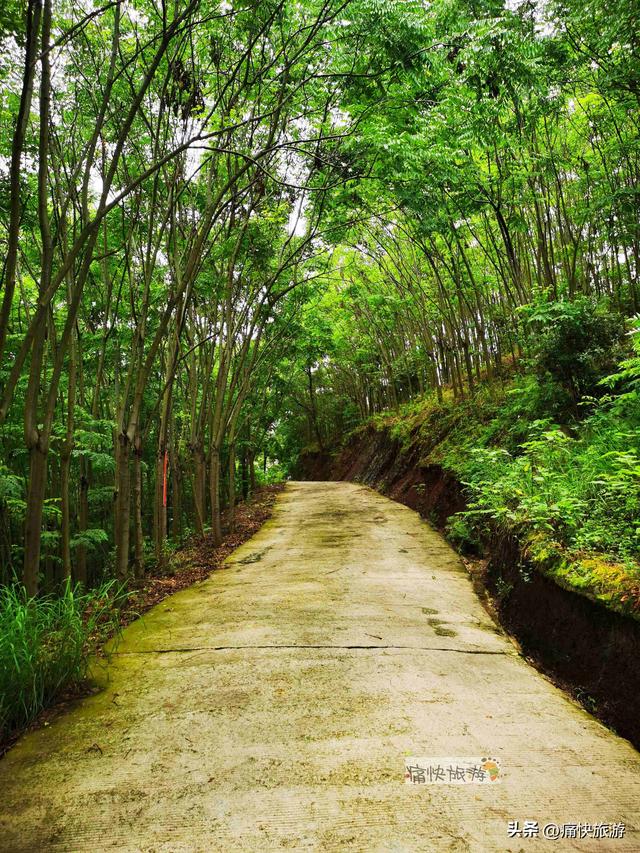 行走自贡：探访富顺东山寺