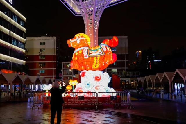 万家灯火绘丰泽丨等你赴约 漫步灯海 遇见别样元宵