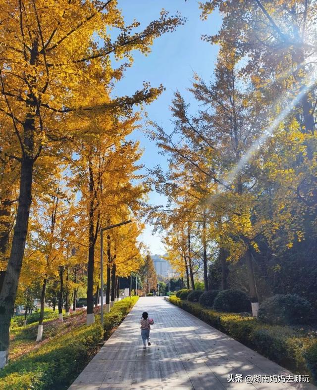 30分钟登顶！长沙私藏小众徒步路线，一站解锁遛娃顶“尖”玩法