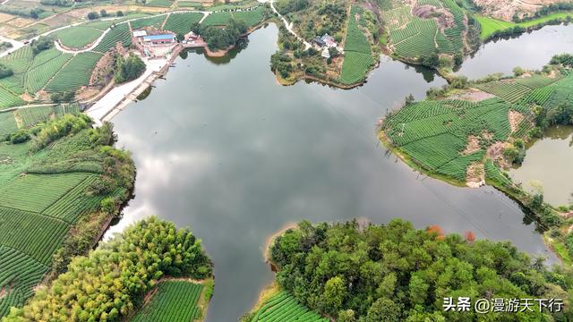 武义郭洞号称江南第一风水村，连坞茶山犹如地球指纹