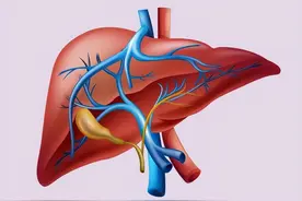 养肝=养命！简单5味药，逼走肝上的瘀、热、痰，养肝护肝有奇效图片