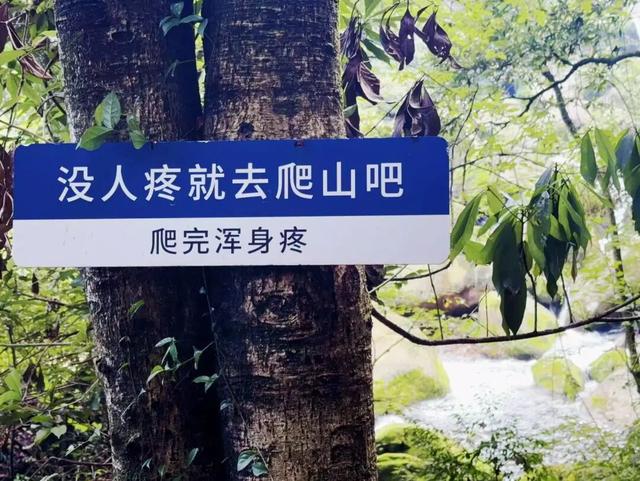 321出发…约上搭子，去天台山徒步啦～