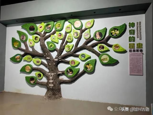 温州这个以畲族始祖命名的4A级景区，秘藏着一座“生物王国”！