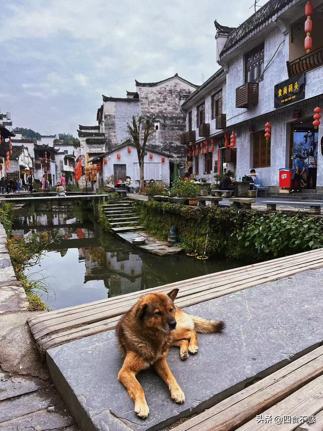 去婺源过秋天，文化与美食一样都不落下