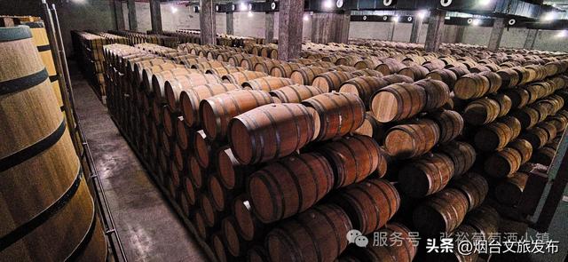 【乐游烟台】室外免费啦！烟台避暑家庭游圣地——张裕柳林河谷景区焕新升级！