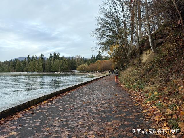 温哥华游记（一）