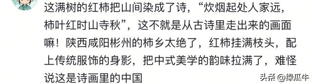 陕西彬州柿子火出圈，啥啥都免费，结果网友们不乐意了
