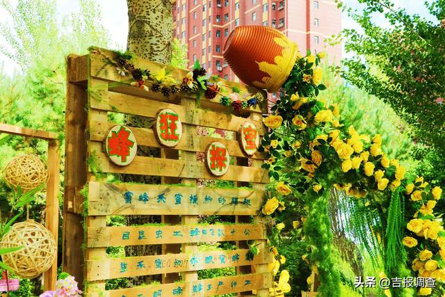 长春百草园“昆虫王国”梦幻来袭,5天科普互动超有趣