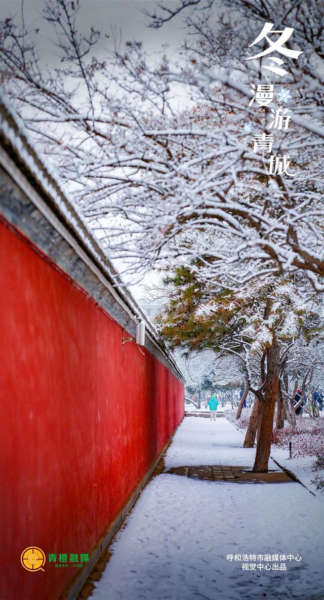 入冬啦！呼和浩特的这几处顶流打卡地必须去眊一眊！
