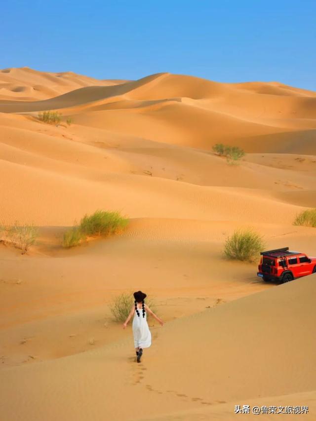 低调的财富绿洲：解锁鄂尔多斯的秘境之旅