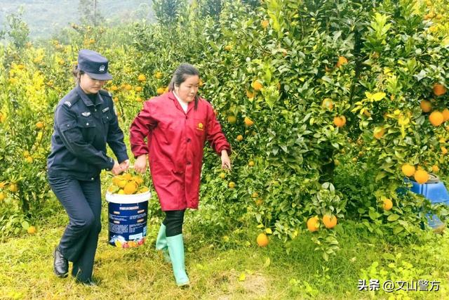 打卡文山最美秋冬，这份攻略千万别错过！