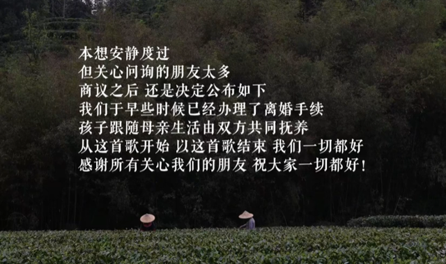 新婚3年又离！李亚鹏妻子官宣离婚，换房成伏笔，王菲早看清人品