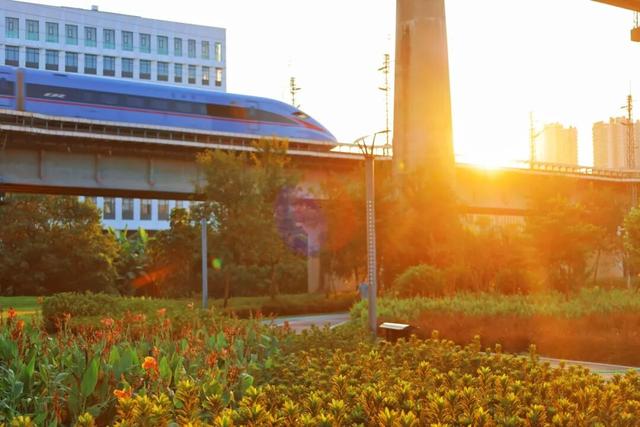 三条高铁并行！桥下还有“宝藏”，等你发现！