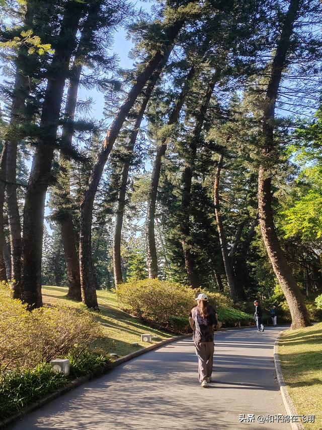 厦门植物园：邂逅自然的绮梦