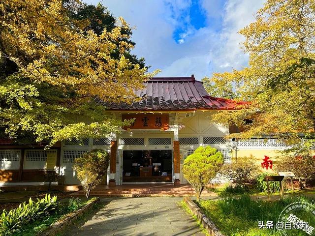 阿里山迎曙光，搭观日列车 送日落、迎曙光、赏美景，胜地一次看