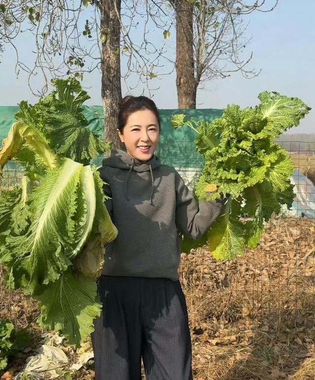 舞台上的她光鲜亮丽	，私下的菜园却让人震惊，娃娃菜比脸还大