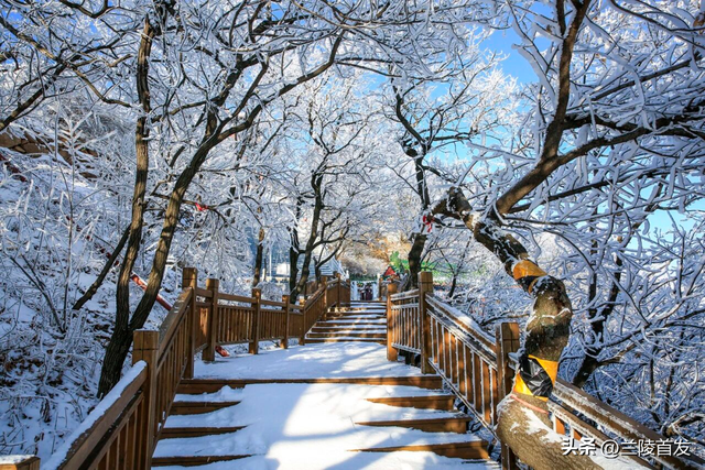 好客山东好品山东｜初雪来了！山东变山“冬”