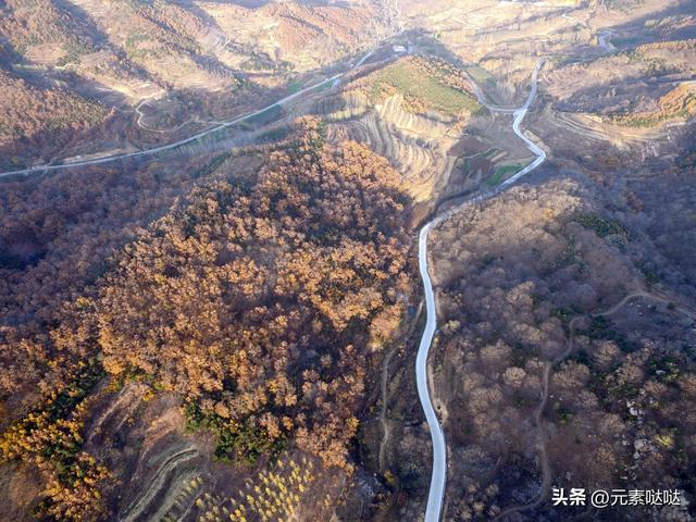 赏秋徒步险酿大祸！门头沟消防提醒：山林行进切勿分开行动