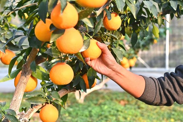 抓紧！再不赏秋就晚了