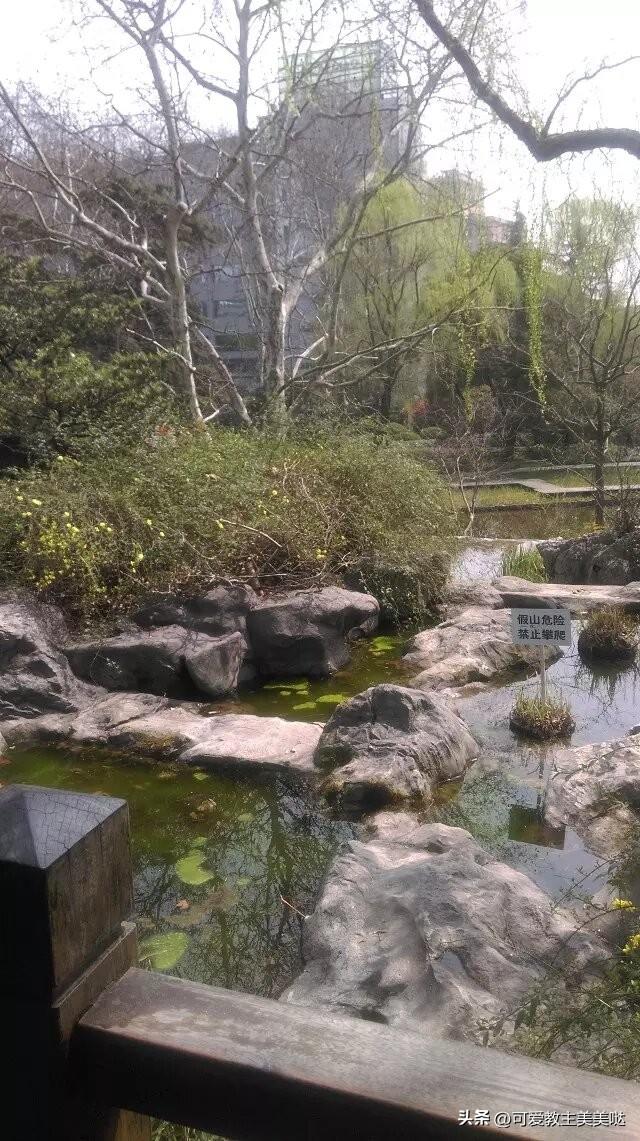 我们的旅途在继续，大上海的繁华