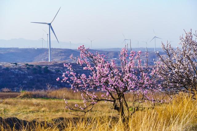 不管你信不信，女性过63岁后，基本都有如下6个现状！要坦然接受