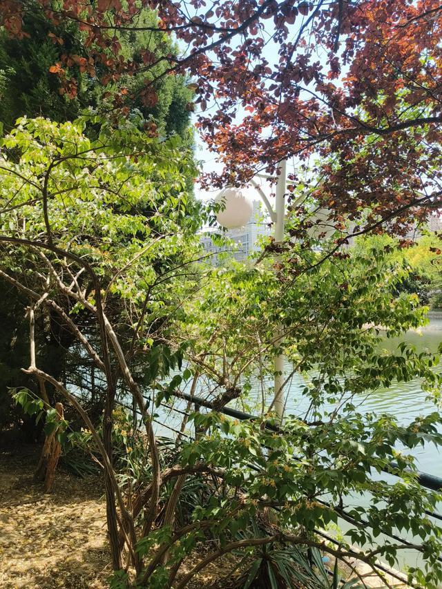 天津《复兴河公园》