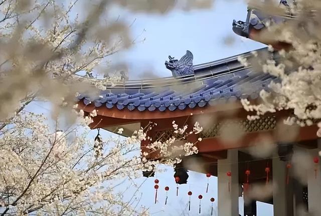 你的第一次旅行去了哪？这些地方藏着最暖的回忆