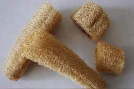 巧用1味药，疏通修复浑身淤堵经络图片