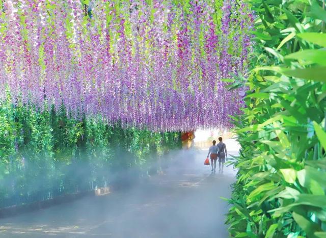 能量告急？即刻出发东莞观音山，给身心快速“充电”！