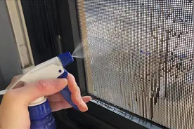 纱窗脏了别用清水洗，保洁阿姨教你一招，不用拆卸，就能焕然一新图片
