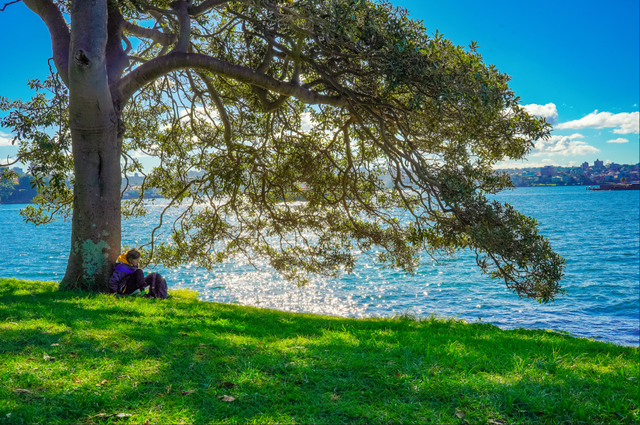 今年冬天，我想去这里过夏天