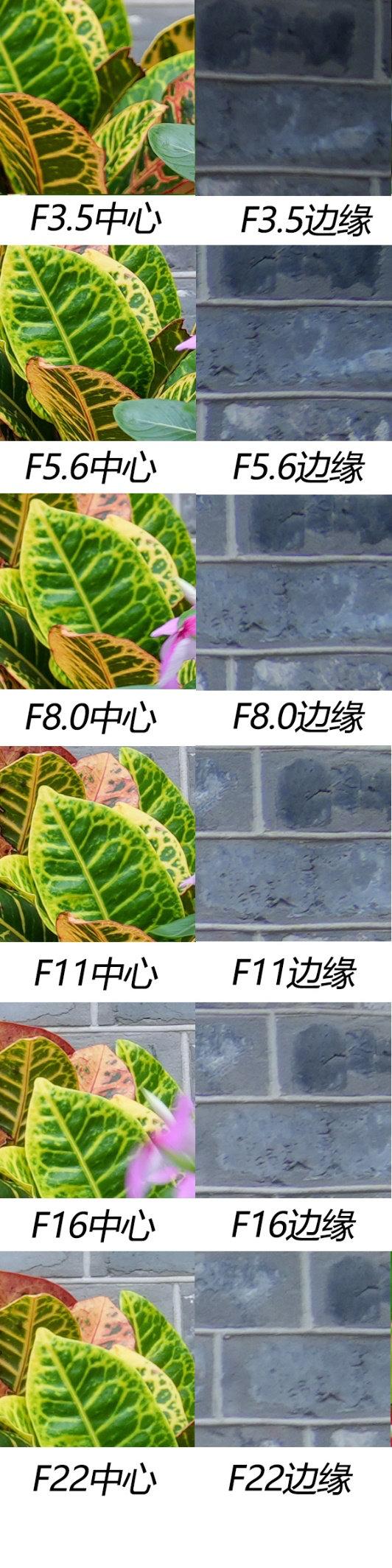适马C 20-200mm评测：轻量化天涯镜 全焦段无短板