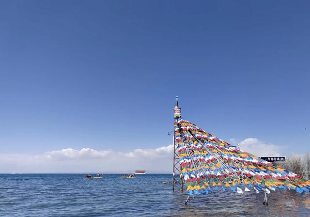夏日里的青海湖 :花正黄,水正清,天正蓝…