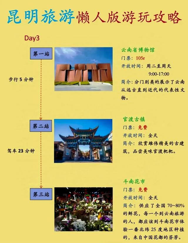 初秋昆明漫游暴击！3天喂鸥逛巷、10元扛花回家！