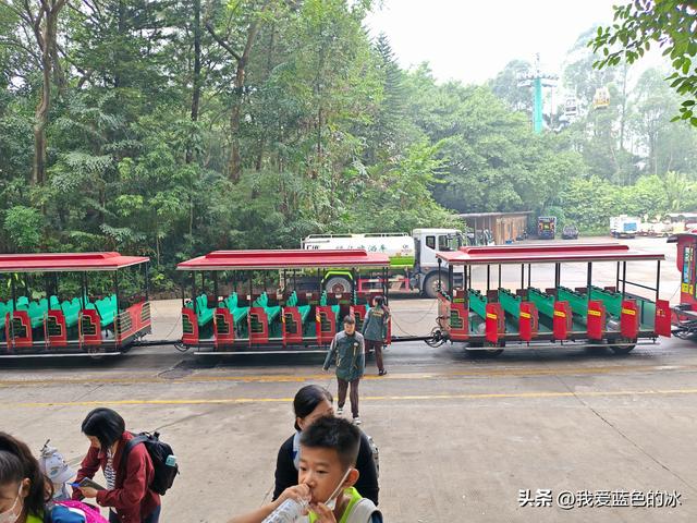 参观广州长隆野生动物园，全程感觉眼累手累腿不累