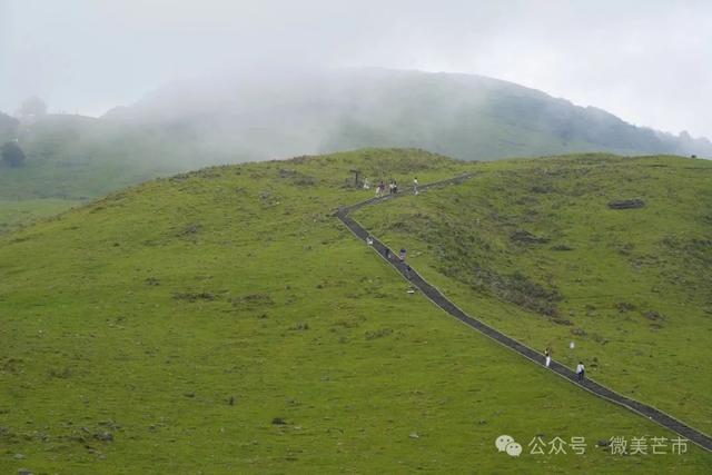 雨林深呼吸：探寻芒市雨季的“绿野仙踪”
