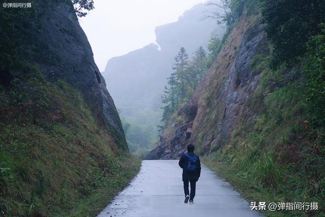 江西有座神奇的“无蚊村”，依山傍水无蚊子，樟树艾草筑天然屏障