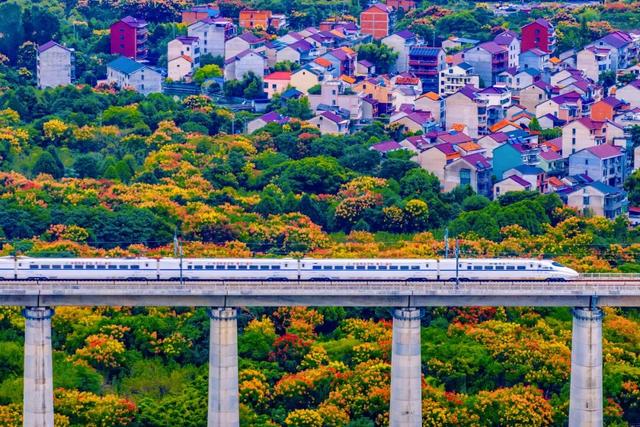 这条高铁火了！据说能“邂逅”李白和杜甫！