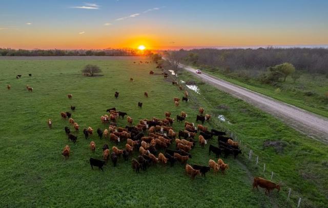 世界上离中国最远的国家，坐飞机要好几天能到，如今发展一落千丈