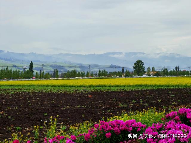 “西行漫记”二：一群亲如兄弟的好朋友让我感动一路