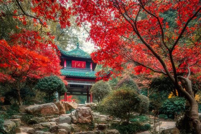 地理冷知识—12月份去哪旅游