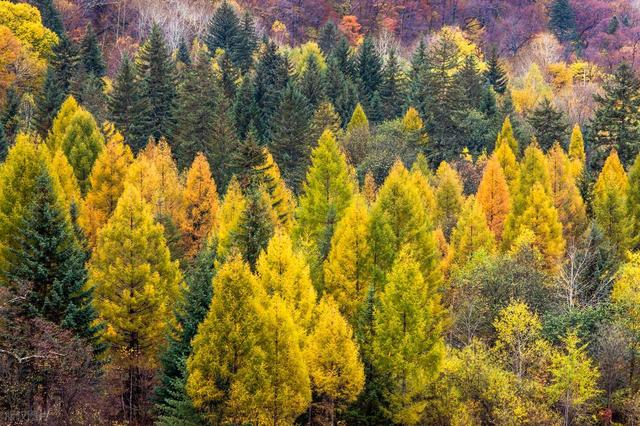 9月-10月精华秋景，这8个地方，秋日浓度爆表